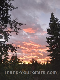 Evergreen Framed Fall Sunset