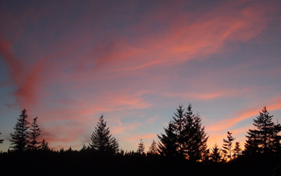 Last light of sunset with red cloud strands over 4 clumps of evergreen trees