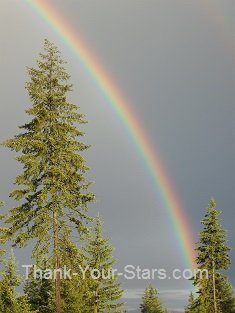 Rainbow in Forest