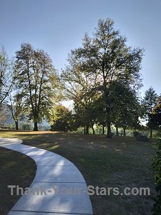 Walkway into Setting Sun behind Trees